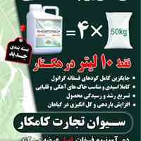 کود فسفر مایع