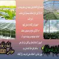 گروه گلخانه سازان پازن رشد سبز ایران 