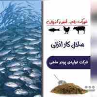 پودر ماهی ساحل کار انزلی