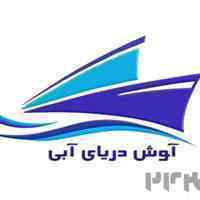 شرکت حمل و نقل بین المللی آوش دریای آبی