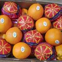 تامین کوتاژ صادرات سیب