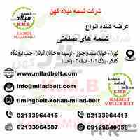 شرکت تسمه میلاد کهن 