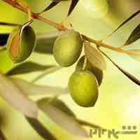 ماساژ روشی برای تندرستی و نشاط
