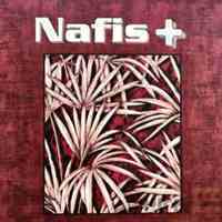 آلبوم کاغذ دیواری نفیس پلاس NAFIS PLUS