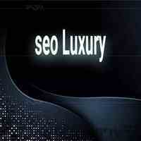 سئو vip برای کسب و کار های حرفه ای