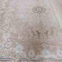 گالری فرش نیلوپلاس کاشان