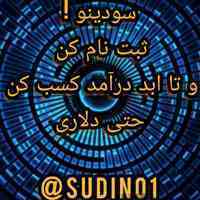 سودینو  درآمد دلاری و ریالی واقعی برای همیشه ❗️