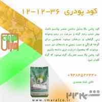 کود npk  پودری 36 12 12