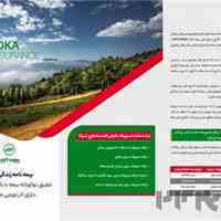 بیمه عمر شوکا البرز