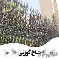 درب آکاردیونی حفاظ شاخ گوزنی حفاظا