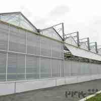 گلخانه سازی سپید رویش | گلخانه سازی – سازه گلخانه | نصب گلخانه