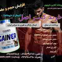 خرید گینر اصل خارجی + ارسال رایگان سراسر ایران