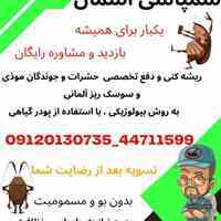 سمپاشی تخصصی آسمان