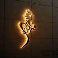 طراحی لوگو حرفه ای + طراحی سایت حرفه ای