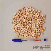 شرکت بازرگانی ساران 