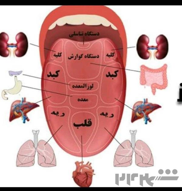 تا حالا سونوگرافی زبان انجام دادین؟