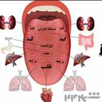 تا حالا سونوگرافی زبان انجام دادین؟