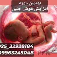 بهترین دوره بای داشتن یک جنین با هوش