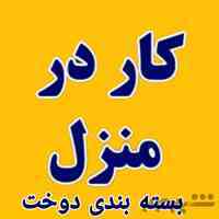 بسته بندی در منزل کار بیرون بر 