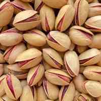 فروش و باغدار و تامین کننده پسته