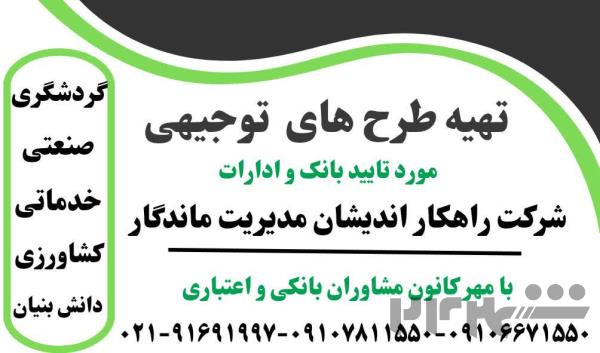 تهیه طرح توجیهی