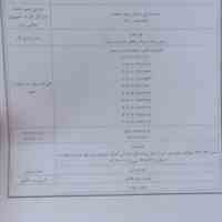 مجوز واردات موز