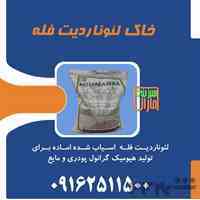 لئونادیت