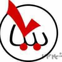 اریه خدمات شبکه ویپ سیستم های اعلام سرقت و حریق و دوربین مداربسته