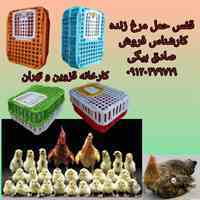 قفس حمل مرغ زنده،قفس مرغی،سبد حمل مرغ زنده،سبد مرغی