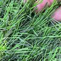 تولید کننده نیمکت سطل زباله پارکی | تولید مجموعه بازی کودکان | چمن مصنوعی