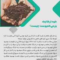 کرم و بستر ورمی کمپوست آمریکایی درجه یک 