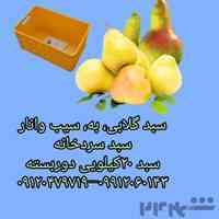 سبد میوه و مرکبات،سبد حمال،سبد ابهری،سبد قایقی،سبد ۲۰کیلویی