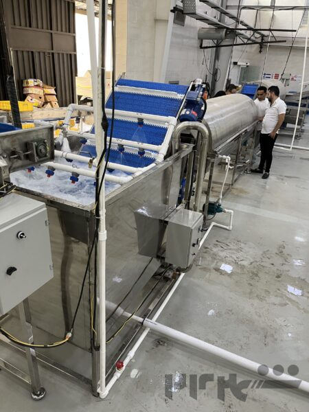 خط تولید محصولات نیمه اماده منجمد و فرنچ فرایز