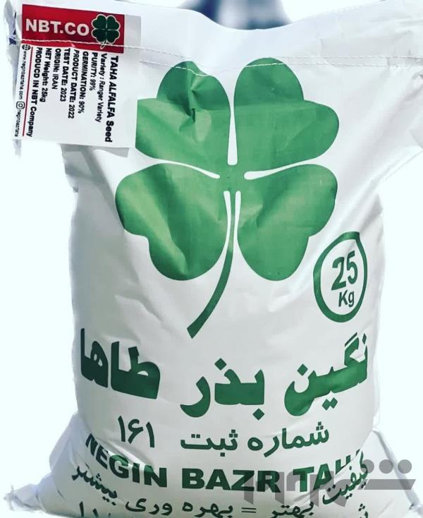 بذر یونجه ممتاز رنجر