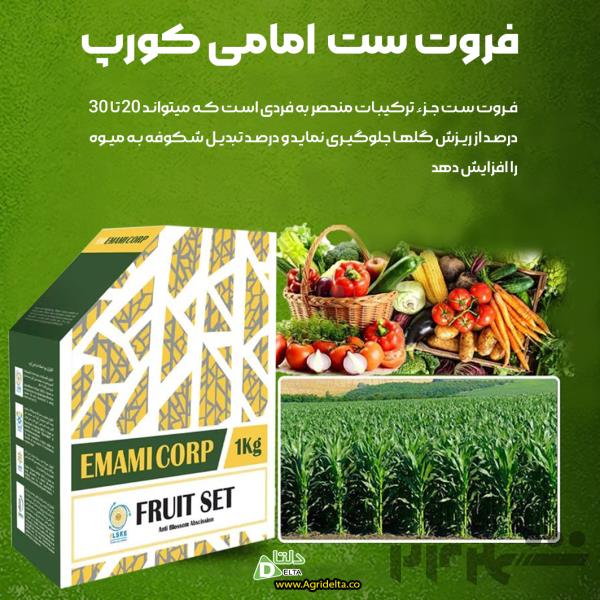 فروت ست امامی کورپ