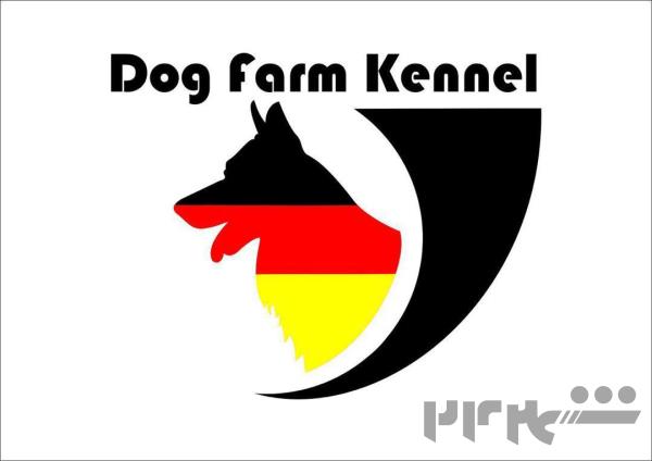 پرورش سگ در تهران|داگ فارم کنل