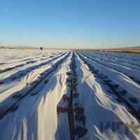 فوم های ضد سرما