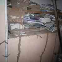 سمپاشی تضمینی موریانه سوسک موش ساس مارمولک سم پاشی گیاهان