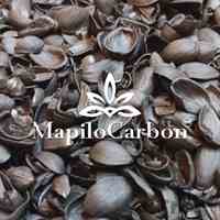 ماپیلو کربن؛ مرجع تخصصی کربن پوست پسته در ایران