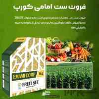فروت ست امامی کورپ