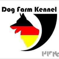 پرورش سگ در تهران|داگ فارم کنل