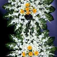 تاج گل  افتتاحیه 