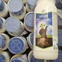 پگاسوس سینجنتا و ولوم هندی