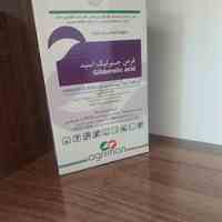 قرص جیبرلیک اگریمن