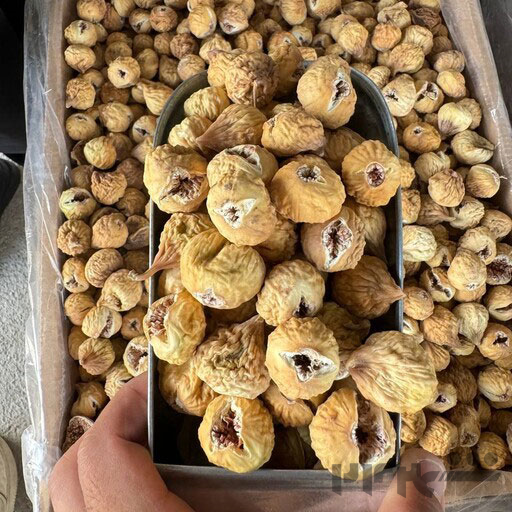 فروش عمده انجیر خشک استهبان