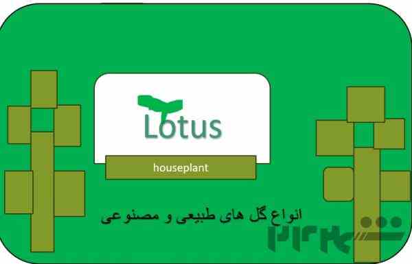 فروش کارت ویزیت 