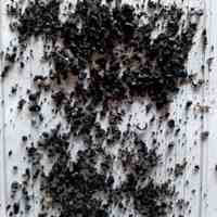 فروش گرانول لاستیک بازیافتی سواری و سنگین 