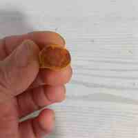 زردچوبه قلم هندی با کیفیت و قیمت رقابتی 