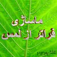 ماساژ خاص و چندحسی؛ تجربه‌ای متفاوت از حس خوب و آرامش عمیق