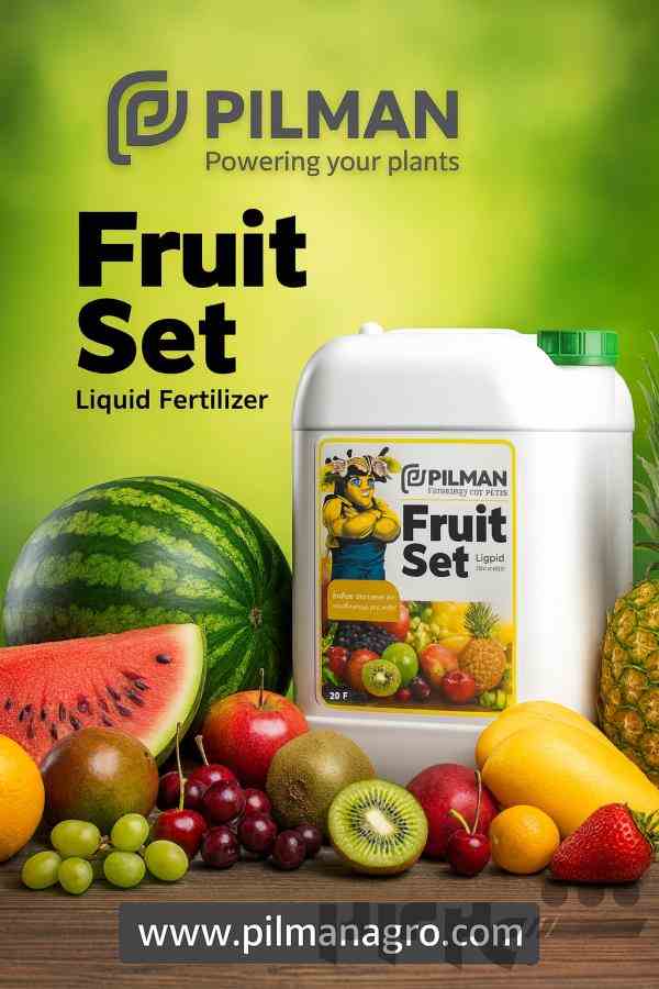 فروت ست مایع پیلمن fruit set 